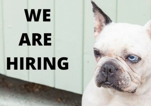 We're Hiring: Volunteer Coordinator