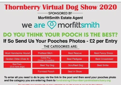 Virtual Dog Show 2020