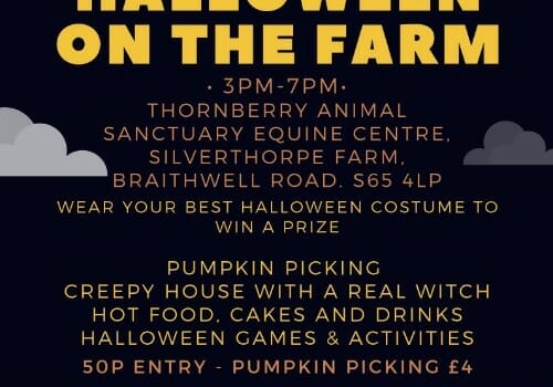 Pumpkin Picking & Halloween on the Farm