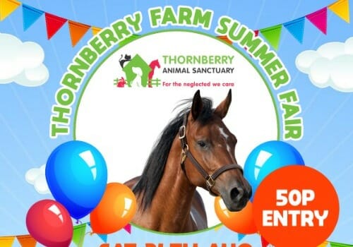 Thornberry Farm Summer Fair | Thornberry Animal Sanctuary Blog