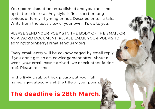Thornberry Poetry Competition 2021