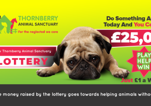 Play Our New Lottery & Win £25000 | Thornberry Animal Sanctuary Blog