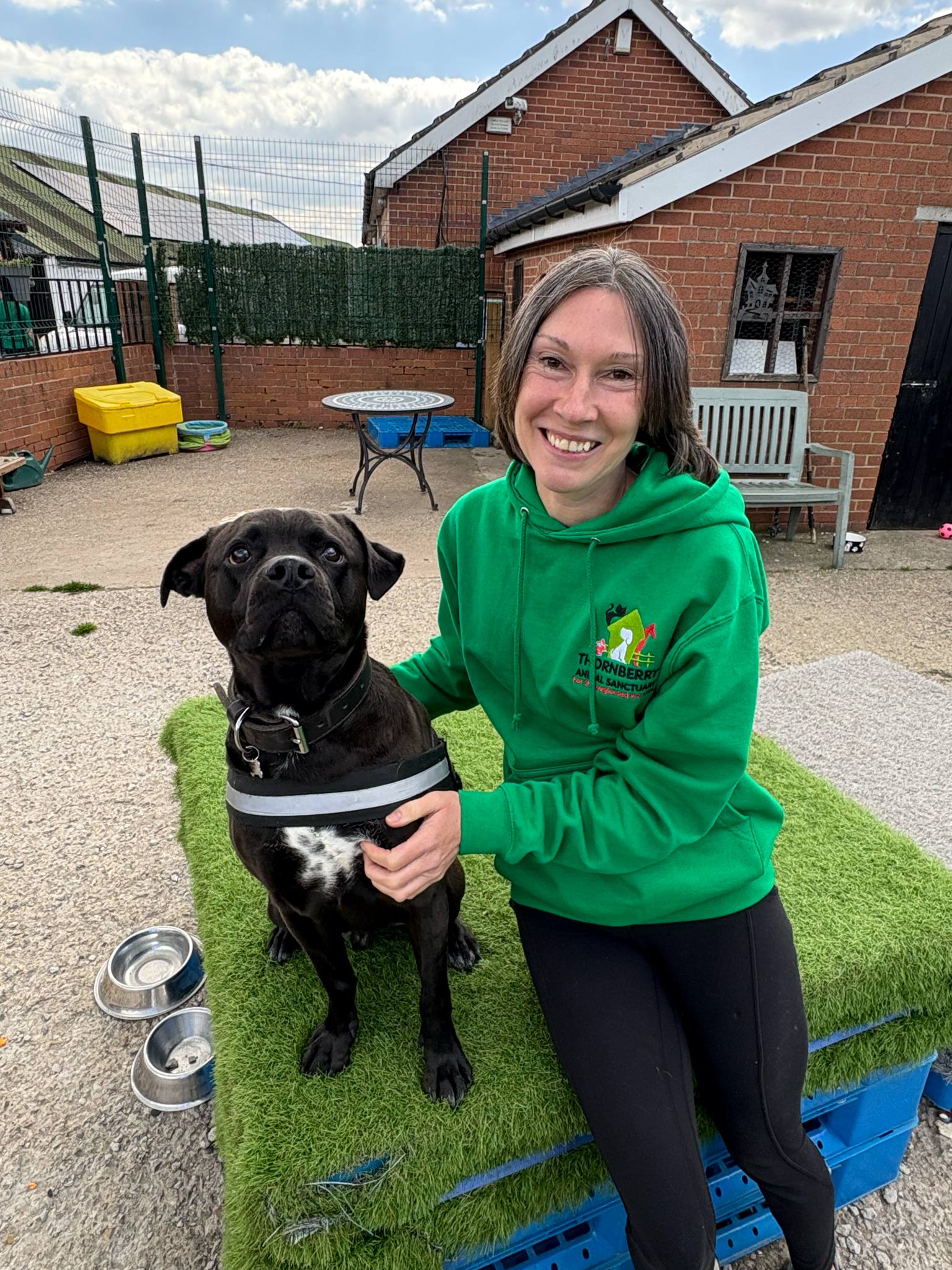 Lindsay Thornberry Animal Sanctuary lindsay-thornberry-animal-sanctuary