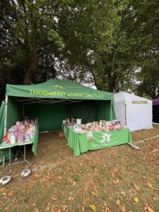Rotherham Show 2