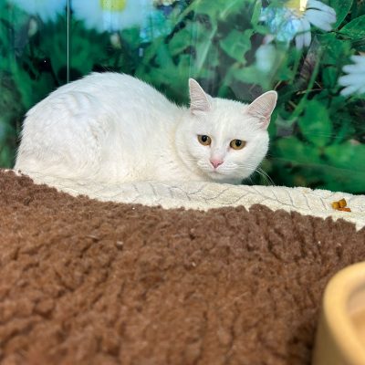 097d1389-91e0-4c20-8939-3d5636327c78