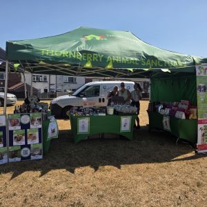 Maltby Fun day