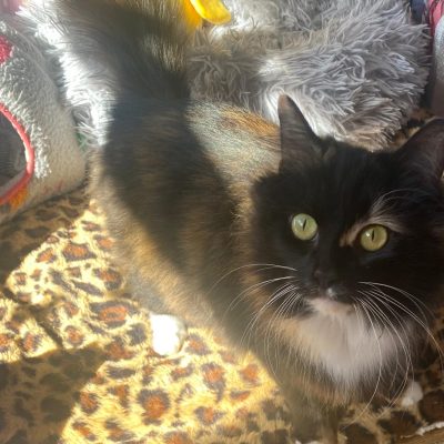 3147b412-8d5b-48a3-91e0-cab3d09329d4