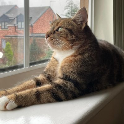 3441002a-3502-4b12-b845-18906eb2b152