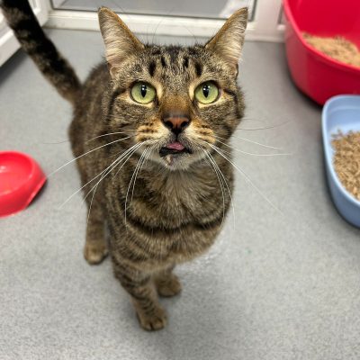 4bc4717e-d110-40d9-91b9-71e8b7a10470