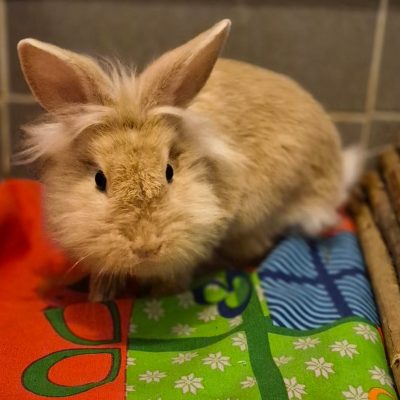 57143e03-fdfd-498b-b884-0f95983f54c5