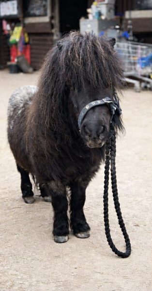 665164436_4279316152310479_5124281026984031055_n