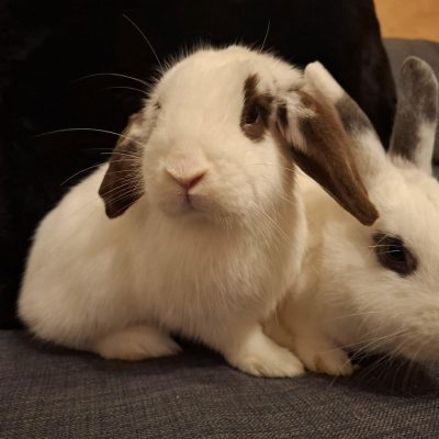 8cfe4ca1-e2db-4cc7-84f7-808e86be71c3