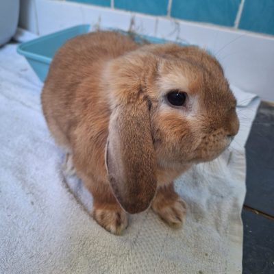 91d0e750-f21b-4e46-b5b0-3ec844aa3d7c