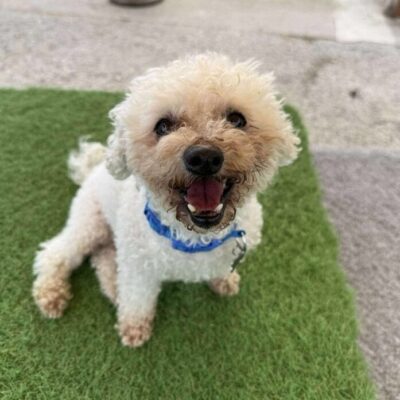 Benny