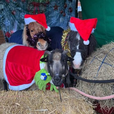 Christmas Fair 2