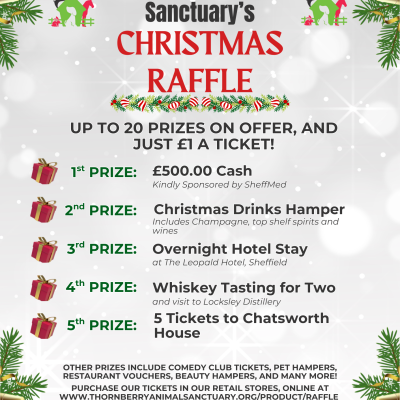 Christmas Raffle 2025 - no QR code