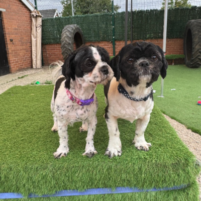 Cookie & Winnie