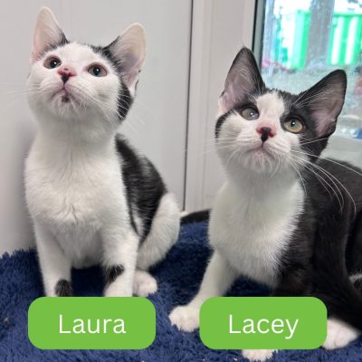 Laura & Lacey