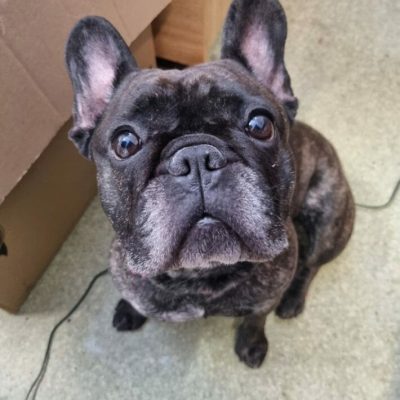 Lola