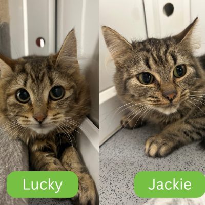 Luck & Jackie