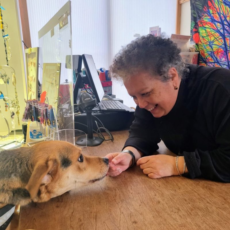 Our Charity Shop at Thornberry Animal Sanctuary | We sell a mixture! Our Charity Shop at Thornberry Animal Sanctuary | We sell a mixture!
