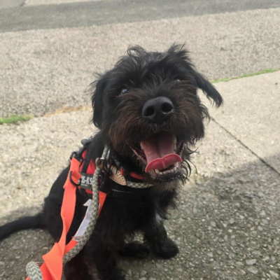 Max