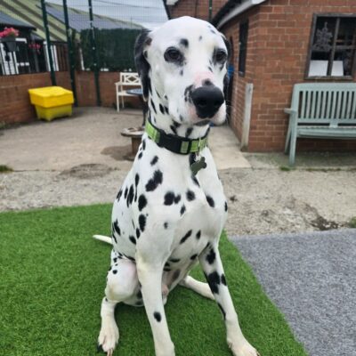 Monty