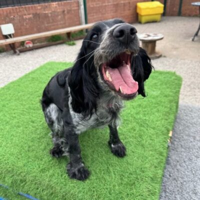 Narla