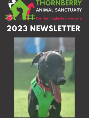 Newsletter 2023 final version
