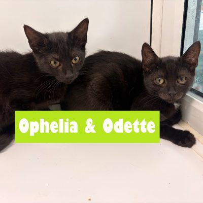 Ophelia & Odette