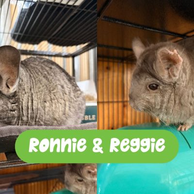 Ronnie & Reggie