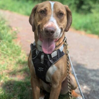 Rudy