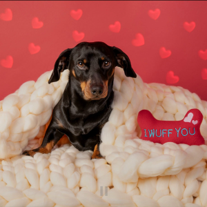 Screenshot 2026-01-09 140439