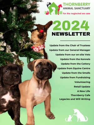 Thornberry 2024 Newsletter