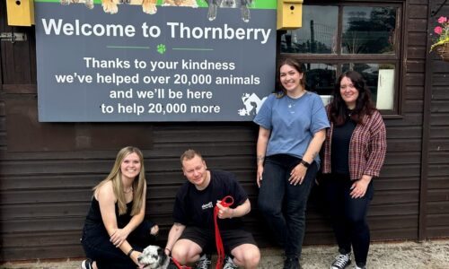 Thornberry-Animal-Sanctuary-Blog