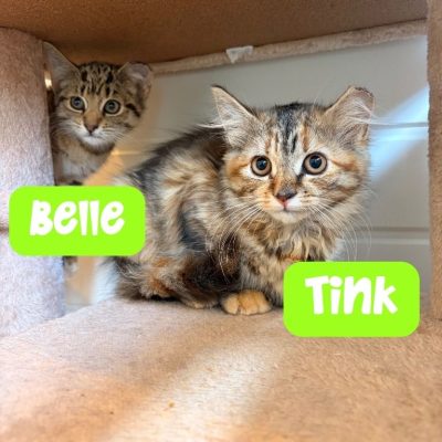 Tink & Belle