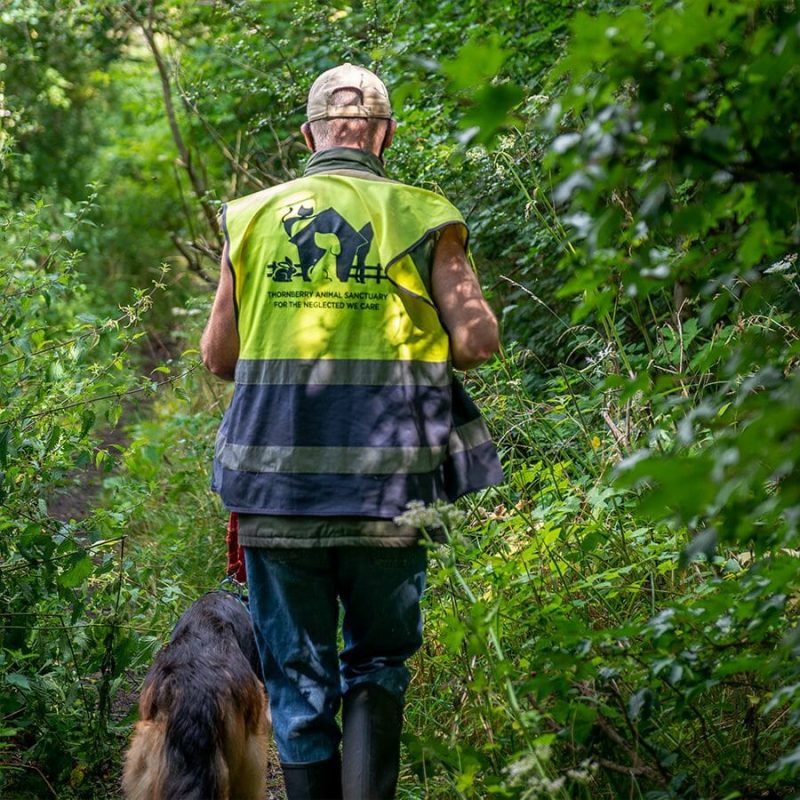 Thornberry Animal Sanctuary Corporate Volunteering