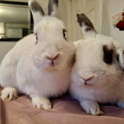 a1b68ee9-7812-4a08-a130-4228d118c0b7