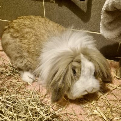 b3b7bc03-91cf-4d68-b005-03d9b2f45216