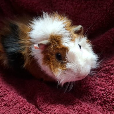 bfbd0fc5-4146-4daa-81d0-3ec1ad1e57af