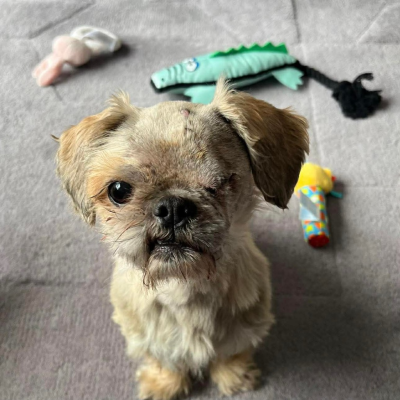 coco
