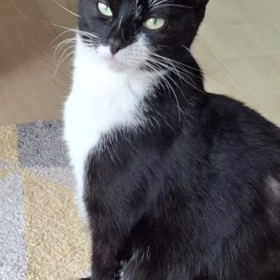 cora