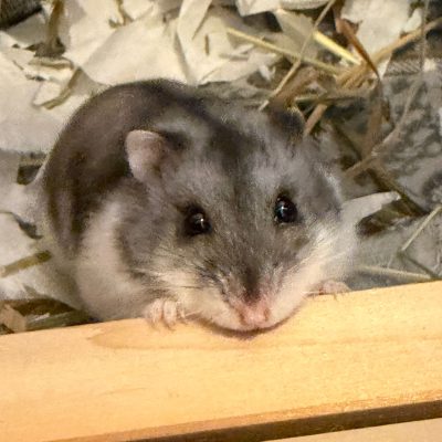 d28ad713-5d4b-4678-82f0-2c192a8914ea