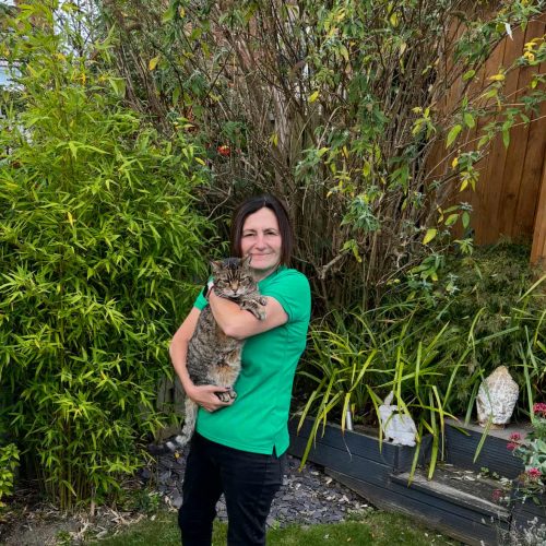 dd9baf2d-c604-41fd-aded-975d8afe030f