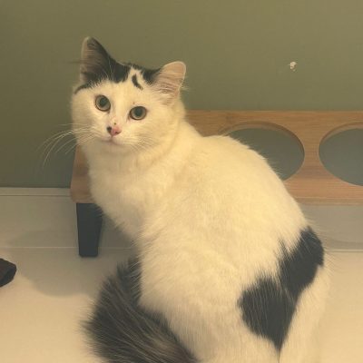 e857ee38-fb49-4562-bcf3-6c1b3a5698d6