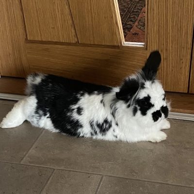 ef6df483-c651-4e26-87bb-5e946b39139d