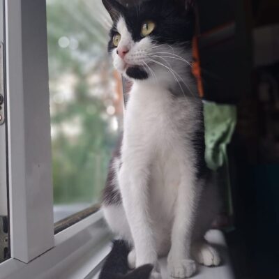 martha