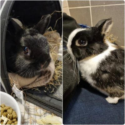 mona and casper